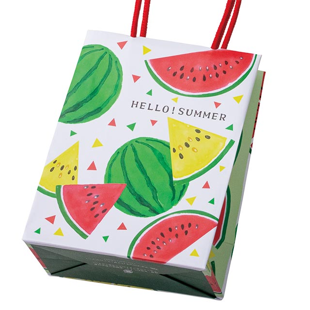 プチイベントバッグ(スイカサマー)